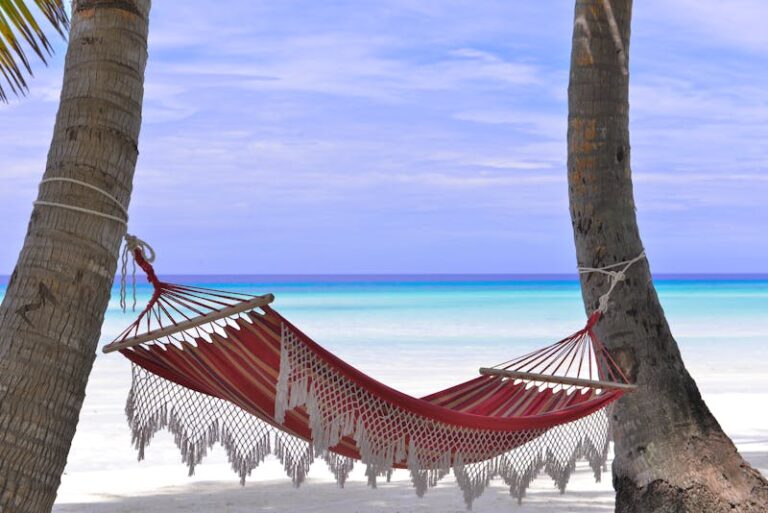 Holiday Bonus Guide: How Much Should You Expect & What’s Typical in 2024?