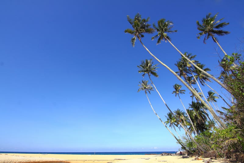 Unpacking Paid Time Off: A Real Talk Guide to US Paid Holidays