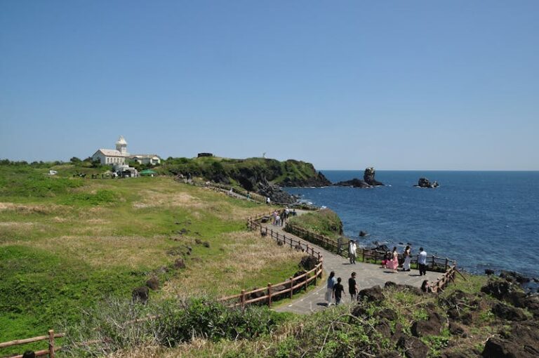 Free photo of scenic view of jeju island coastline and path.jpeg