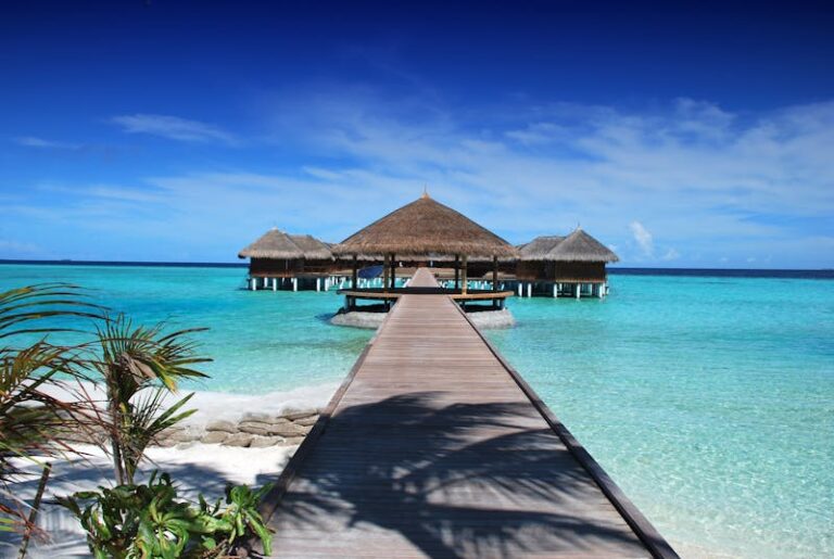Maldives ile beach sun 38238.jpeg