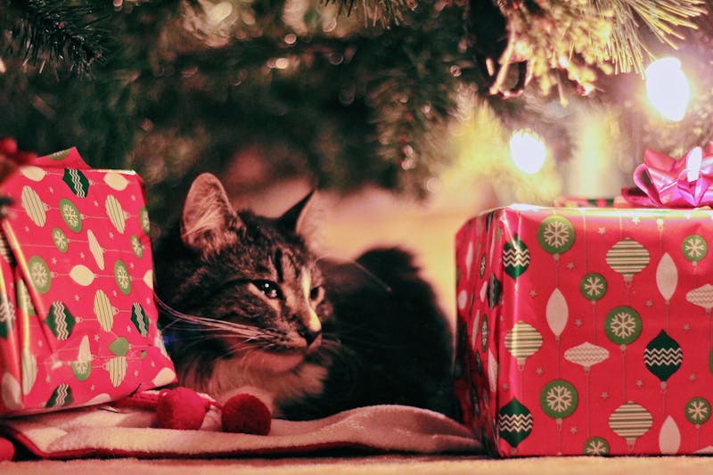 How to Close a Holiday Card: Sweet Sign-Offs That Make Your Note Feel Complete