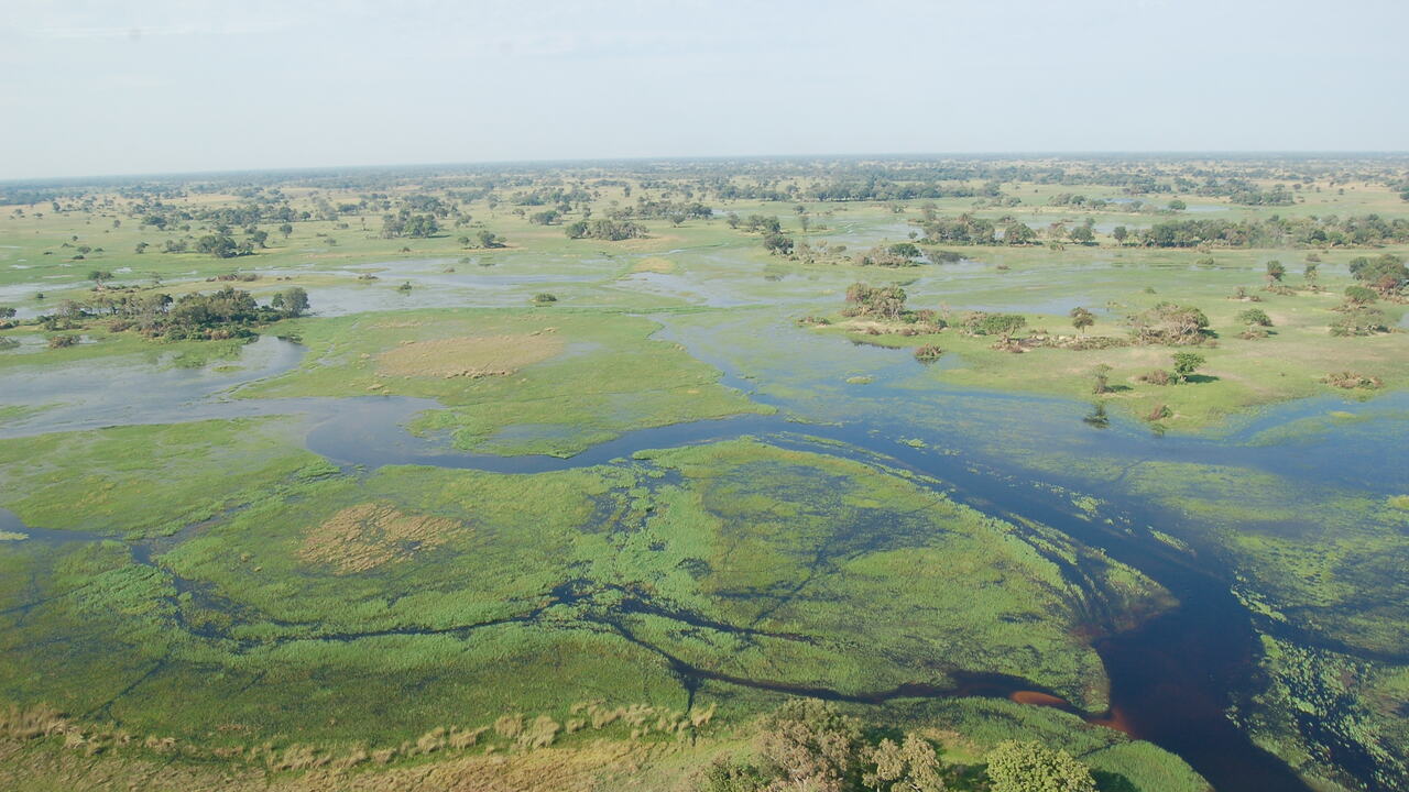 Botswana public holiday scenery, Africa