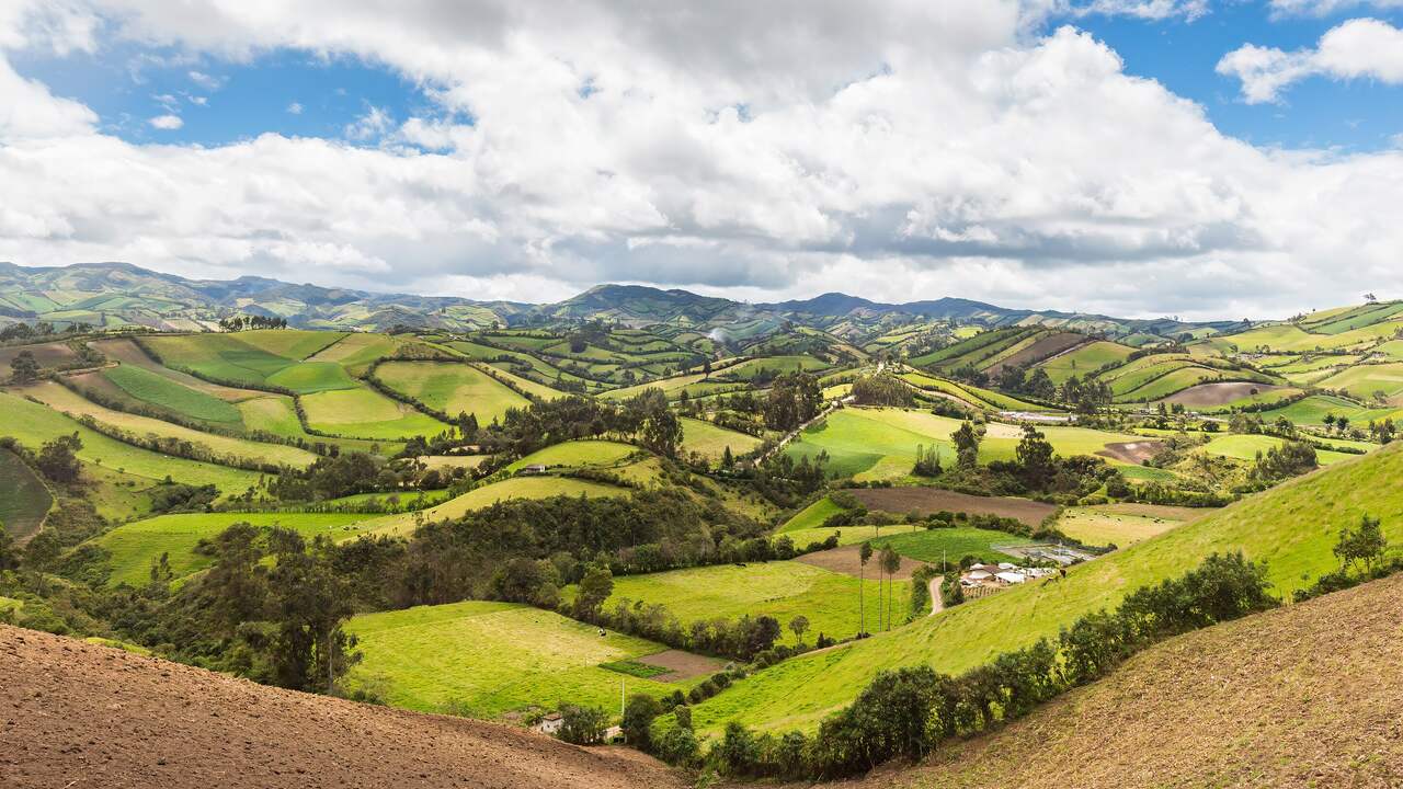 Ecuador public holiday scenery, South America