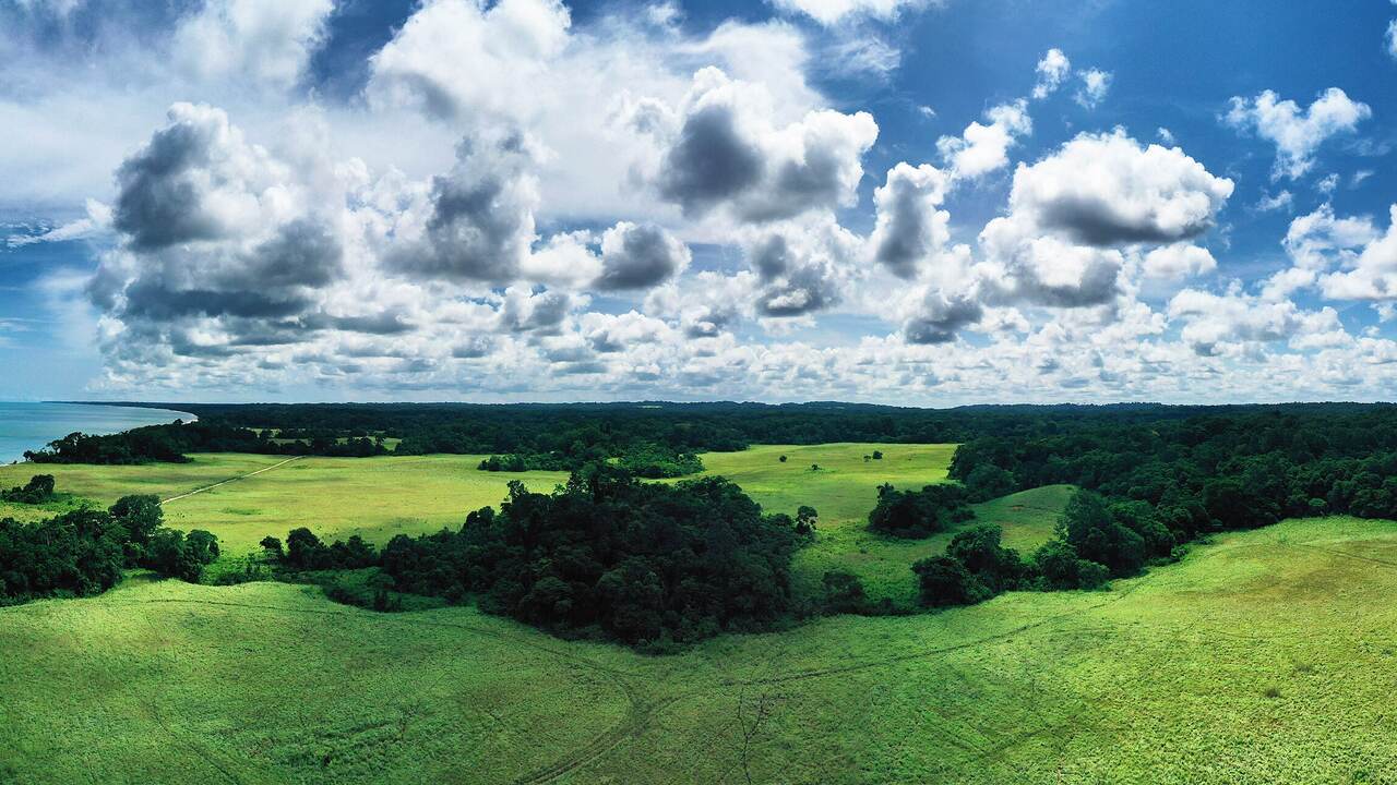 Gabon public holiday scenery, Africa