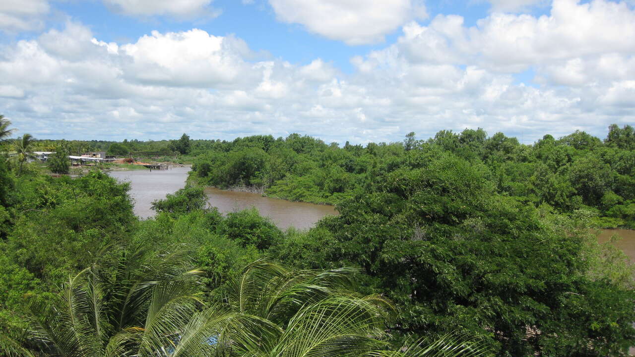 Guyana public holiday scenery, South America