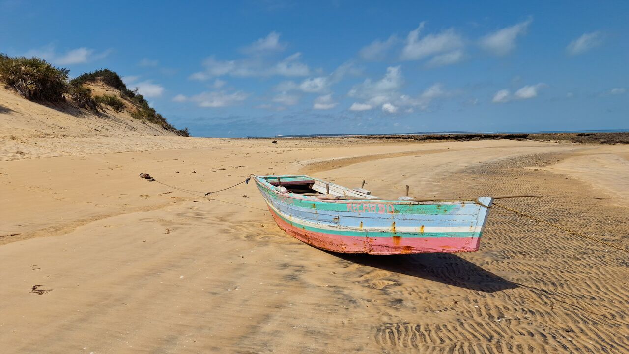 Mozambique public holiday scenery, Africa