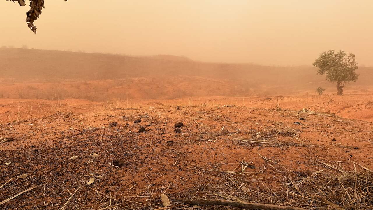Niger public holiday scenery, Africa