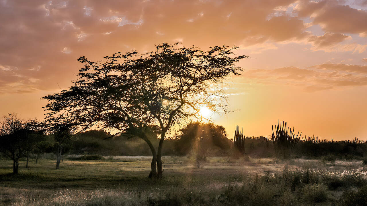 South America scenery